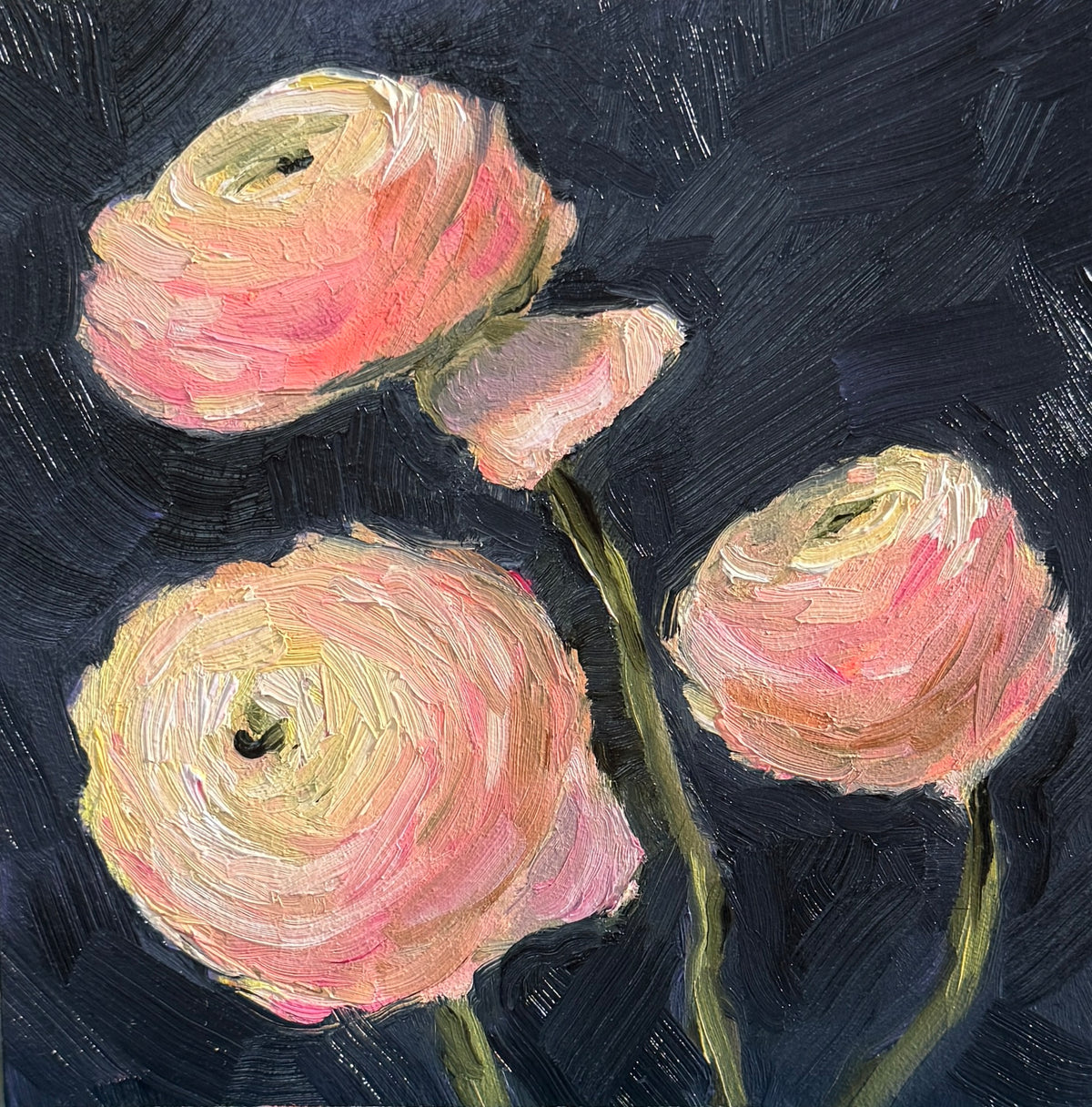 Ranunculus Study from life
