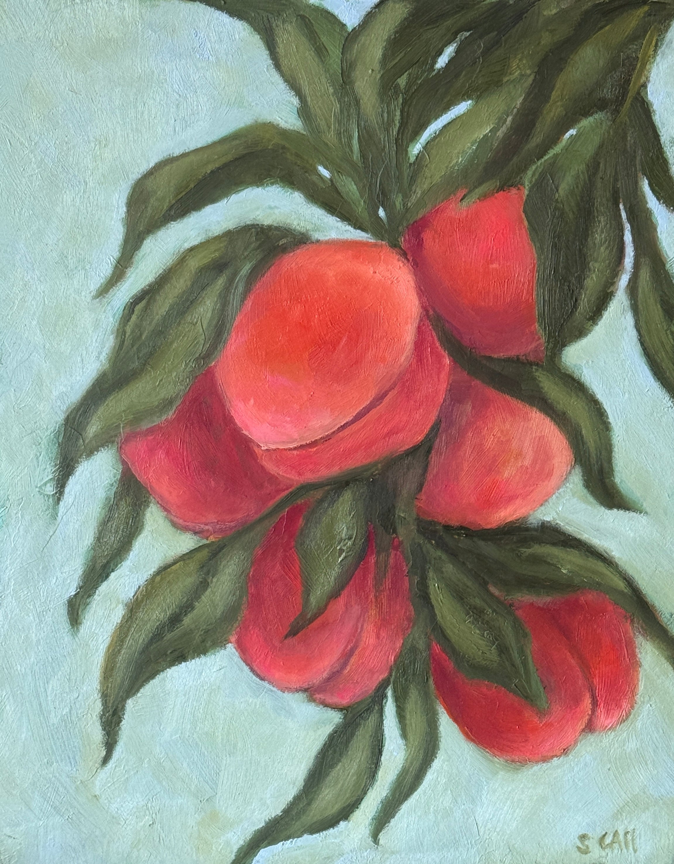Peaches